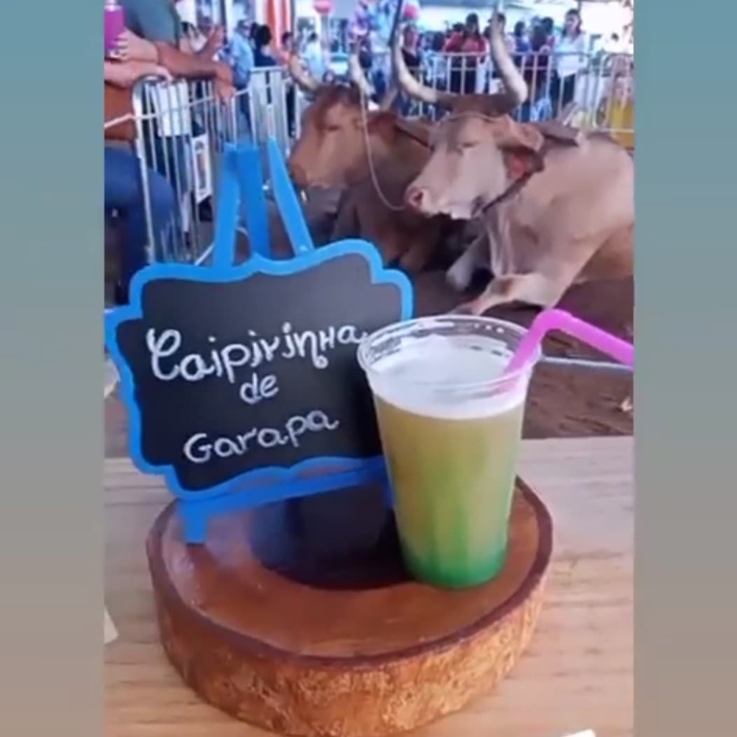 Caipirinha de garapa